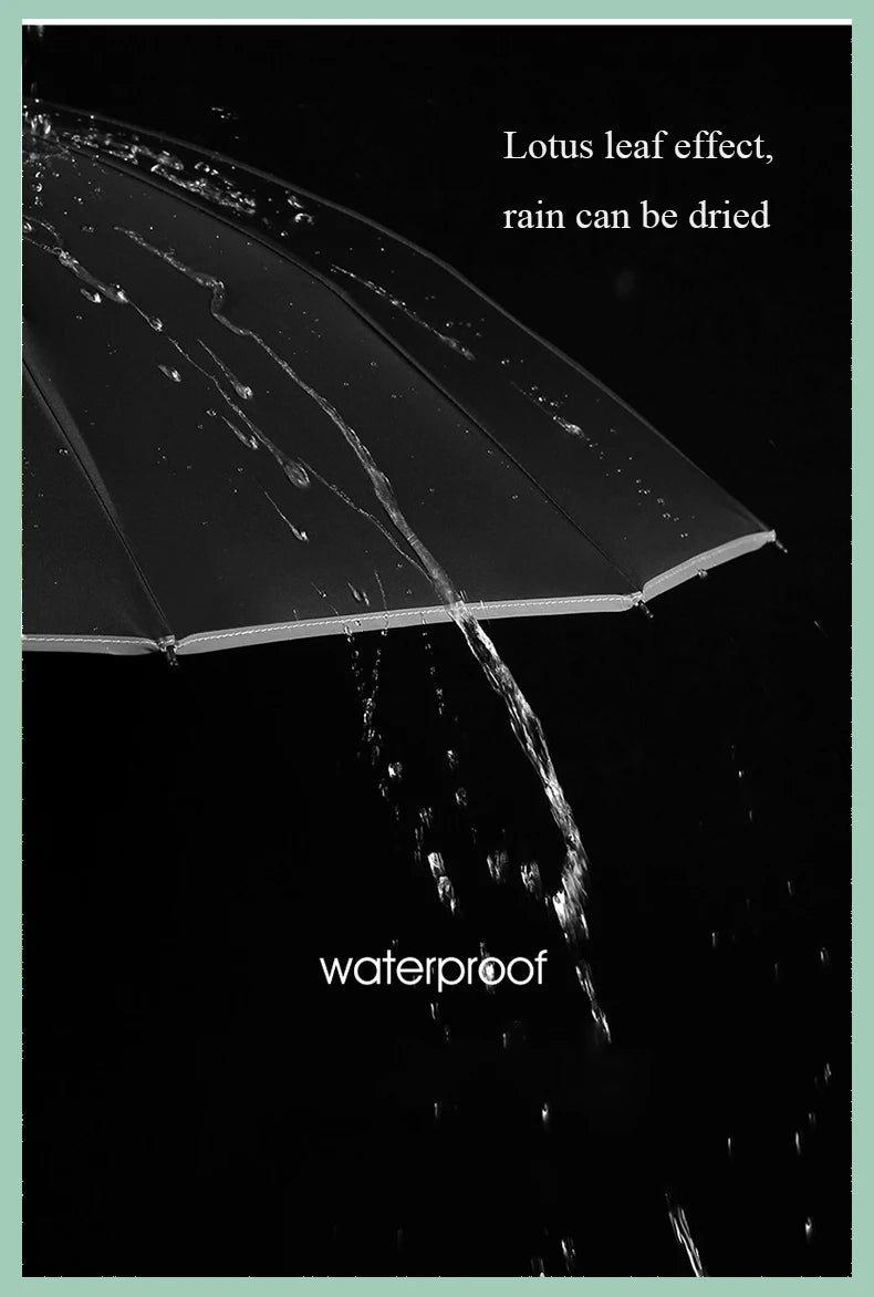 StormGuard β Auto-Fold Windproof Umbrella with 12-Rib Reverse Design