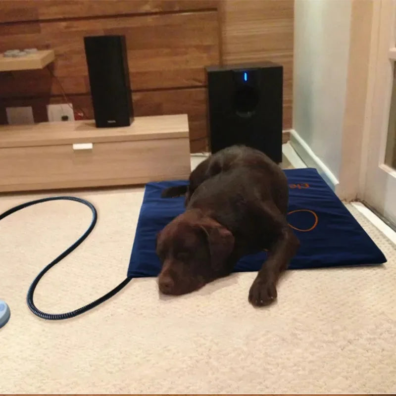 PawHeat Deluxe – Waterproof Electric Pet Heating Blanket