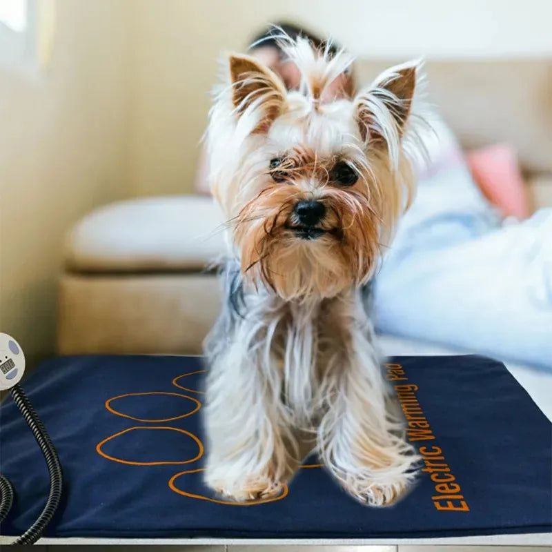 PawHeat Deluxe – Waterproof Electric Pet Heating Blanket