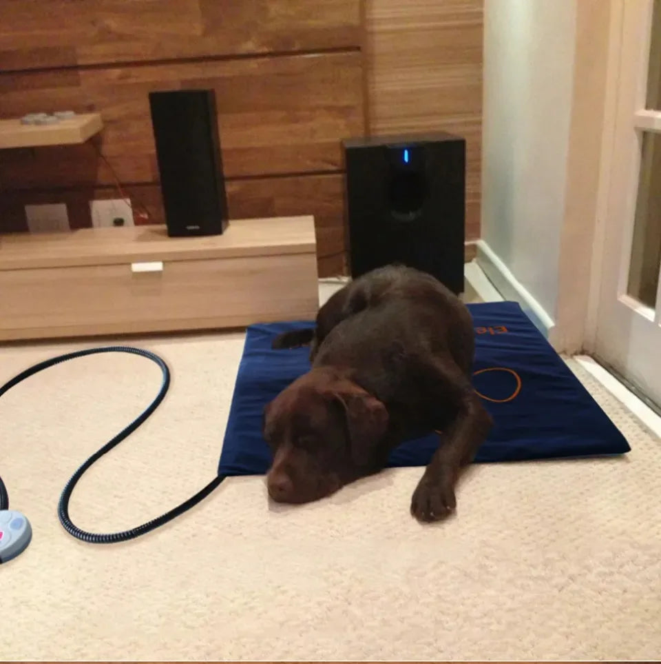 PawHeat Deluxe – Waterproof Electric Pet Heating Blanket
