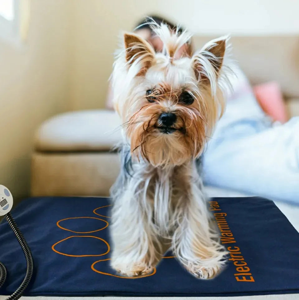 PawHeat Deluxe – Waterproof Electric Pet Heating Blanket