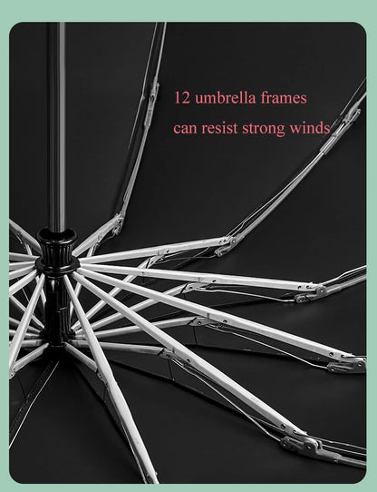 StormGuard – Auto-Fold Windproof Umbrella with 12-Rib Reverse Design