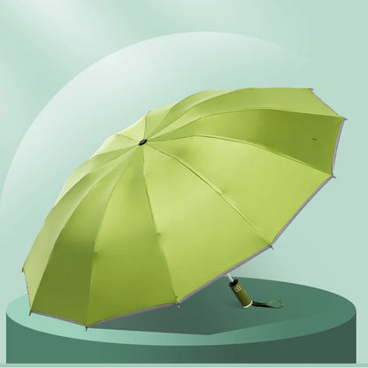 StormGuard – Auto-Fold Windproof Umbrella with 12-Rib Reverse Design