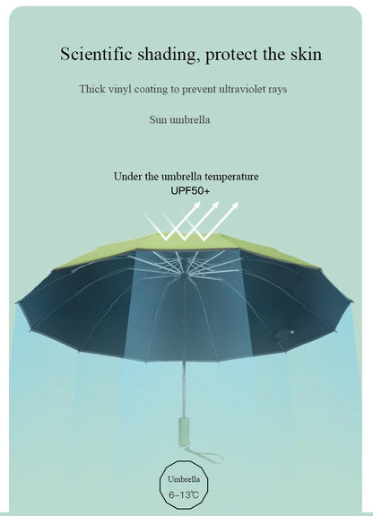 StormGuard – Auto-Fold Windproof Umbrella with 12-Rib Reverse Design