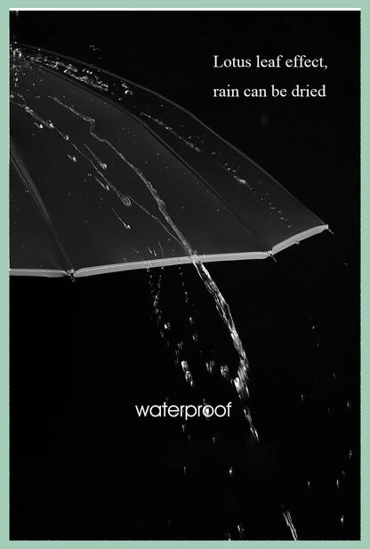 StormGuard – Auto-Fold Windproof Umbrella with 12-Rib Reverse Design