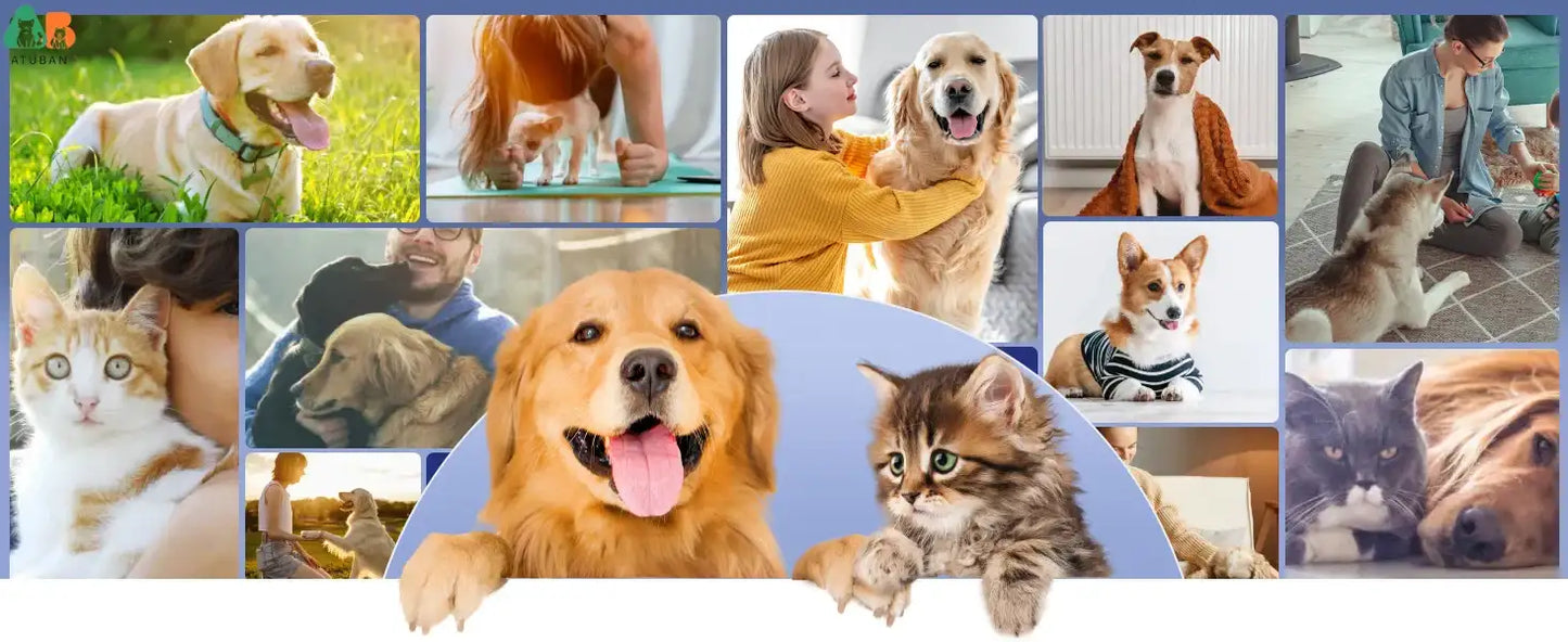 ShedMaster 15,000Pa Pet Grooming Vacuum – 2L Large Capacity