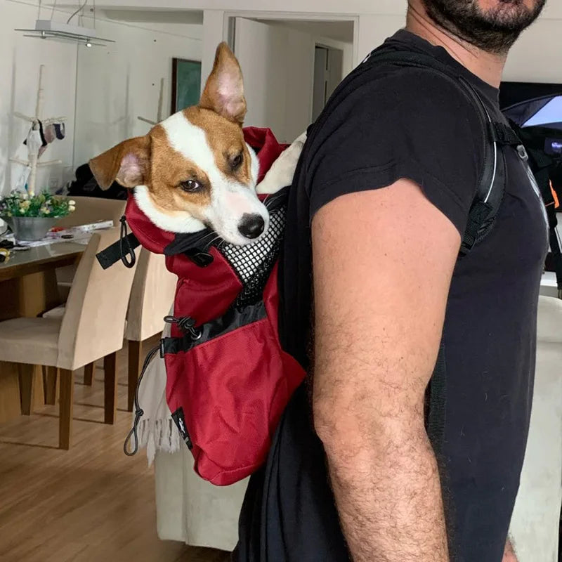 AirPaws Sport – Cycling Dog Carrier Backpack