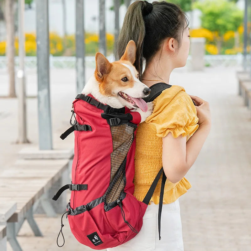 AirPaws Sport – Cycling Dog Carrier Backpack
