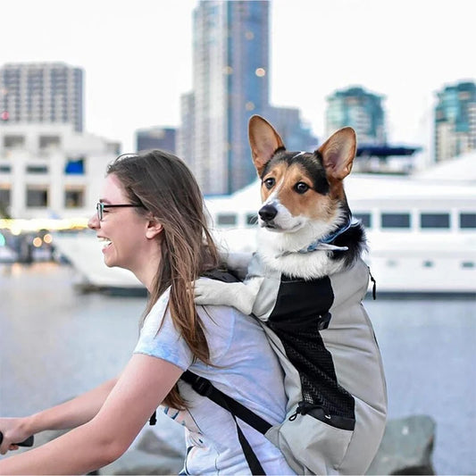 AirPaws Sport – Cycling Dog Carrier Backpack