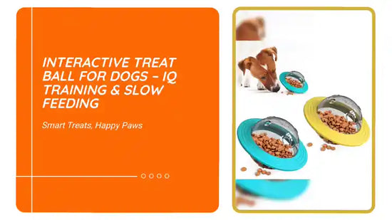 Interactive Treat Ball for Dogs &ndash; IQ Training &amp; Slow Feeding by@Outfy